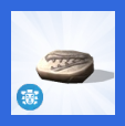 Fossils