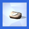 Fossils