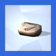 Fossils