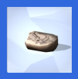 Fossils