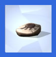 Fossils