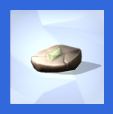 Fossils