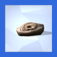 Fossils