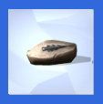Fossils