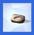 Fossils