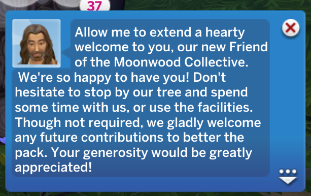 welcoming interaction from the moonwood collective
