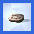 Fossils