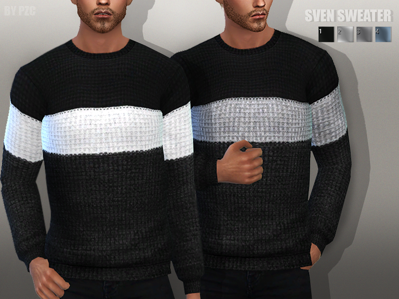 Der gleiche Sim zweimal mit einem gestreiften Pullover