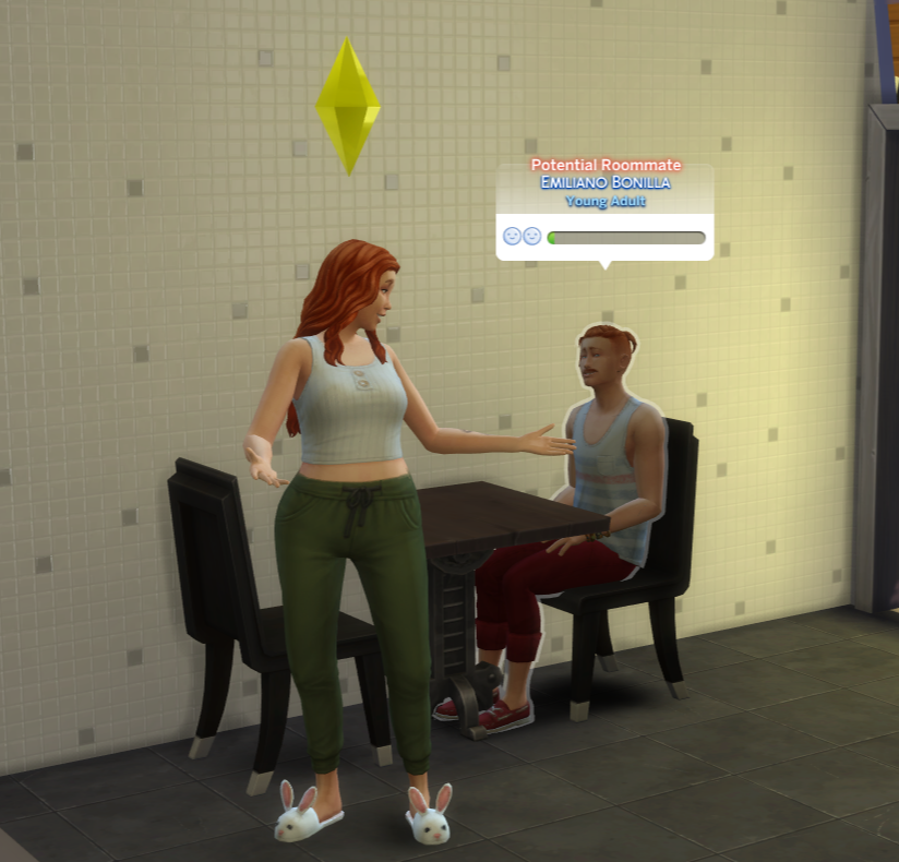 Sim spricht mit einem potenziellen Mitbewohner